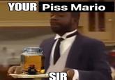 YOUR Piss Mario SIR