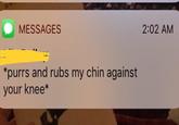 MESSAGES 2:02 AM *purrs and rubs my chin against your knee*