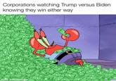 Corporations watching Trump versus Biden knowing they win either way 241 %24 $40 made with mematic $
