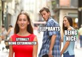 ELEPHANTS BEING NICE LITERALLY BEING EXTERMINATED imgflip.com
