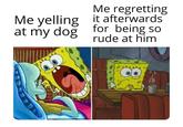Me regretting Me yelling it afterwards at my dog for being so rude at him