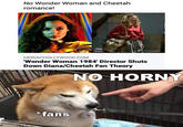 No Horny No Wonder Woman and Cheetah romance! HEROICHOLLYWOOD.COM "Wonder Woman 1984' Director Shuts Down Diana/Cheetah Fan Theory NO HORNY * fans
