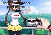 The actual good part of the fandom The awful part Almost everyone 18