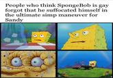 People who think SpongeBob is gay forgot that he suffocated himself in the ultimate simp maneuver for Sandy 00