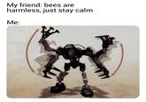 My friend: bees are harmless, just stay calm Me: