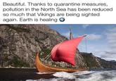 Beautiful. Thanks to quarantine measures, pollution in the North Sea has been reduced so much that Vikings are being sighted again. Earth is healing O