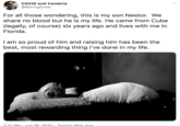 COVID and Cambria @BoringDrew For all those wondering, this is my son Nestor. We share no blood but he is my life. He came from Cuba (legally, of course) six years ago and lives with me in Florida. I am so proud of him and raising him has been the best, most rewarding thing I've done in my life. 2:17 PM : Jun 18 2020 · Twitter Web App