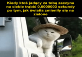 Kiedy ktoś jadący za tobą zaczyna na ciebie trąbić 0,0000003 sekundy po tym, jak światła zmieniły się na zielone