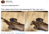 ditch pony @molly7anne "Are you wearing the-" The rubber band from the asparagus? Yes, yes i am :) 8:21 AM · Jun 22, 2020 · Twitter for iPhone >