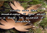 Goats are like Mushroome. If you shoot duck, I'm scared of toasters. a