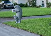 manatee mailbox