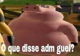 O que disse adm guel?