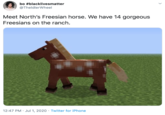 bo #blacklivesmatter @TheldlerWheel Meet North's Freesian horse. We have 14 gorgeous Freesians on the ranch. 12:47 PM · Jul 1, 2020 · Twitter for iPhone >