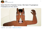 sam @samantha_hill1 Meet North's Freesian horse. We have 14 gorgeous Freesians on the ranch. 1:56 PM · Jul 1, 2020 · Twitter for iPhone >