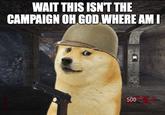WAIT THIS ISNT THE CAMPAIGN OH GOD WHERE AM I 500 Call of Duty: Black Ops Call of Duty: Zombies Call of Duty: Black Ops – Zombies Call of Duty: Black Ops 4 Dog Canidae Photo caption Snout Korean jindo dog Dog breed