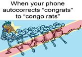 When your phone autocorrects "congrats" to "congo rats"