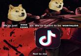 DOGE We're just sir. We're meant to be WORTHLESS COINS Not to me