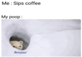 Me : Sips coffee Му рoоp : Bonjour