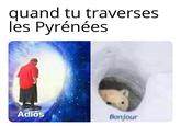 FYI, the Pyrenees is the mountain range that marks the border between France and Spain