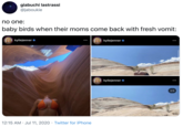 giabuchi lastrassi @jaboukie no one: baby birds when their moms come back with fresh vomit: kyliejenner e kyliejenner e kyliejenner e 2/3 12:15 AM · Jul 11, 2020 · Twitter for iPhone