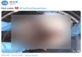 РЕТA PETA @peta Not cake #CutOutDissection OWe Animals / Jo-Anne McArthur PCTA 3:03 PM · Jul 13, 2020 · Sprout Social