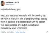 Ray | Kappa ☆ B*L*M @hey_raybeam tw// animal abuse, gore hey, just a heads up, be careful with the trending tag for PETA as it is full of a lot of people QRTing a post by them of a picture of a dissected cat with the caption "not cake". i clicked on it out of curiosity and immediately saw it uncensored 11:59 PM · Jul 13, 2020 · Twitter Web App