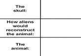 The skull: How aliens would reconstruct the animal: The animal: