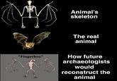Animal's skeleton The real animal "Fingerboy" How future archaeologists would reconstruct the animal