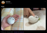 hamster @hamsterie egg 1:43 p. m. · 21 jul. 2020 · Twitter for Android