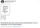 Kellywise the Clown @KellywiseClown Person | | Woman | Man | Camera | TV (·스) || Nothing to see here, just a bunny preparing to run for President of the United States. 12:12 PM · Jul 23, 2020 · Twitter for iPhone