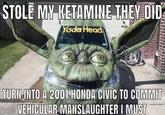 Yonda Civic STOLE MY KETAMINE THEY DID Yoda Head TURN INTO A 2001 HONDA CIVIC TO COMMIT VEHICULAR MANSLAUGHTER I MUST