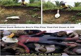 The Birb Lounge THEDODO.COM Nice Duck Returns Boy's Flip-Flop That Fell Down A Hill carefully, he's a hero