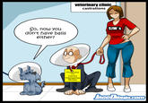 veterinary clinic castrations SJW's So, now you don't have balls either? Producers TV Cómics Videogames Movies JAGODibuja.com