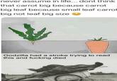 never assume in life... dont think that carrot big because carrot big leaf because small leaf carrot big not leaf big size Godzilla had a stroke trying to read this and f------ died cikola