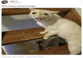 aliah U @40ozAliah this is how lil kids cough 11:23 AM · Dec 3, 2018 · Twitter for iPhone @ldasCreatures