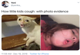 Yeni VES ATTER @yenika_ How little kids cough: with photo evidence 11:59 AM · Dec 19, 2018 · Twitter for iPhone OldasCreatures