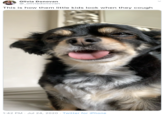 Olivia Donovan @_oliviadonovan This is how them little kids look when they cough 1:42 PM · Jul 24, 2020 · Twitter for iPhone