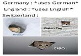 Germany : *uses German* England : *uses English* Switzerland : Guten Tag Bonjour ciao