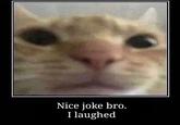 Nice joke bro. I laughed