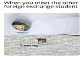 When you meet the other foreign exchange student Bonjour Guten Tag