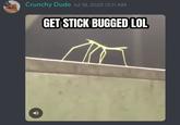 Crunchy Dude Jul 18, 2020 12:11 AM GET STICK BUGGED LOL
