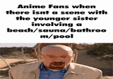 Anime Fans when there isnt a scene with the younger sister involving beach/sauna/bathroo m/pool a Bryan Cranston Walter White Breaking Bad Text Human Forehead Internet meme Photo caption Adaptation