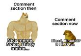 Comment section then Comment section noW Nice meme, Noice, S----- meme. Binod, Binod OP BINOD..