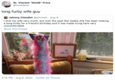 St. Vincent "ACAB" Price @muddaub long furby wife guy Johnny Chiodini @johnneh · Aug 9 I love my wife very much, but over the past few weeks she has been making a long furby for a friend's birthday and it has made living here very uncomfortable Show this thread 4:15 PM · Aug 9, 2020 · Twitter for iPhone