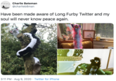 Charlie Bateman @charlieb8man Have been made aware of Long Furby Twitter and my soul will never know peace again. 嚴 3:11 PM · Aug 9, 2020 · Twitter for iPhone