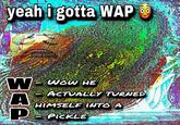 yeah i gotta WAP W-wow - WOW HE ACTUALLY TURNED HIMSELF INTO A P. PICKLE @trashcanpaul