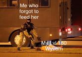 Me who forgot to feed her My Lvl 180 Wyvern