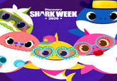 well, this was bound to happen  Discovery SHARK WEEK * 2020 *