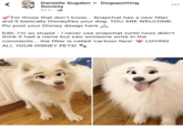 Danielle Sugden Society 21 h. Dogspotting For those that don't know... Snapchat has a new filter and it basically Disneyfies your dog. YOU ARE WELCOME. Plz post your Disney dawgs here A Edit: I'm so stupid - I never use snapchat (until now) didn't think it had a name but saw someone write in the comments... the filter is called 'cartoon face' LOVING ALL YOUR DISNEY PETS!