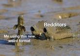 Redditors Me using this new. weird format